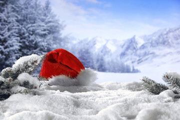 Winter background of free space for your decoration. Snow and frost and christmas tree branch. Cold...