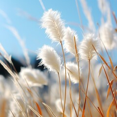 Obraz premium Very nice white grass flowers image Generative AI