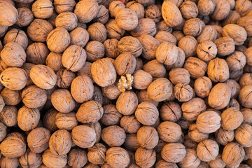 A walnut, shelled in the middle of a sack of nuts. The walnut is the fruit of the walnut tree, and...