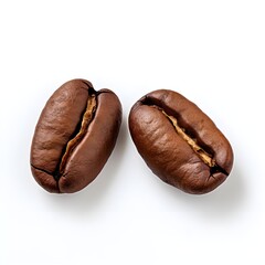 Two roast coffee beans, studio shot. Isolated on White. close up of two dark roasted fair trade coffee beans.
