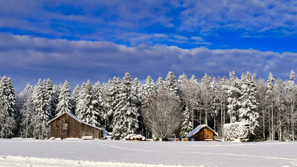 Winterlandschaft mit verschneiten Hütten und Tannen