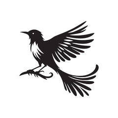 Bird Silhouette: Captivating and Detailed Avian Shadows, Ideal for Artistic and Decorative Design Black Vector Birds Silhouette
