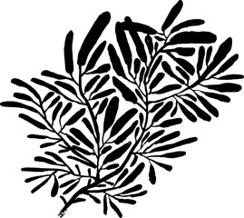 Leaf Grunge Artwork Brush Silhouette Element