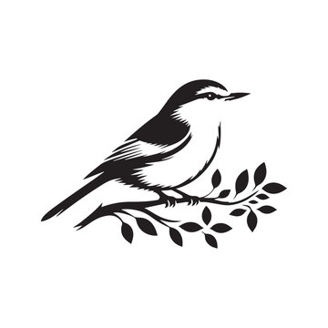 recommend clip art: Bird Silhouette: Diverse and Striking Avian Shadows in Natural Scenes and Unique Environments Black Vector Birds Silhouette
                    
