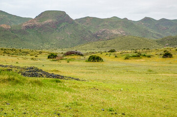 The Cabo de Gata-Níjar Maritime-Terrestrial Natural Park is a Spanish protected natural area located in the province of Almería, Andalusia, after intense rains in this semi-desert area.