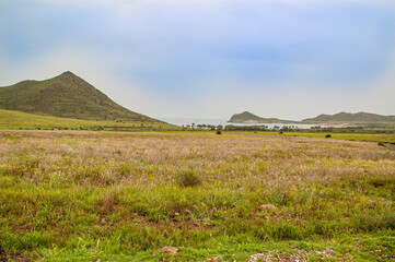 The Cabo de Gata-Níjar Maritime-Terrestrial Natural Park is a Spanish protected natural area located in the province of Almería, Andalusia, after intense rains in this semi-desert area.