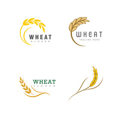Agriculture wheat logo vector template symbol design
