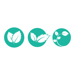 Mint leaves flat vector color icon template illustration design
