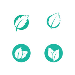 Fototapeta premium Mint leaves flat vector color icon template illustration design