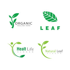 Leaf logo vector template element symbol design