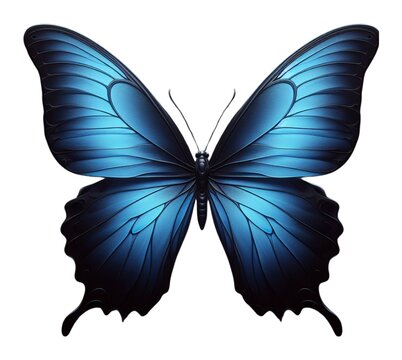 Realistic blue butterfly clipart