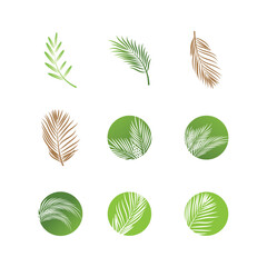 Leaf palm logo vector template symbol and design