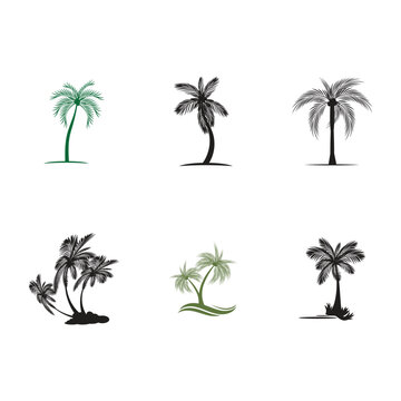 Palm tree logo vector template symbol design