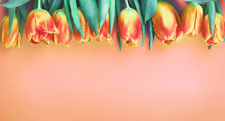 Peach Fuzz fresh flowers tulips background with copy space. Romantic composition. Flat lay,