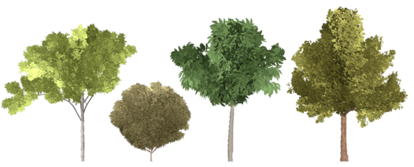 set of watercolor hand drawn paintings with asset illustrations of green tree isolated on white background. High resolution transparent PNG, random shape and species of tree 