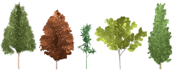 set of watercolor hand drawn paintings with asset illustrations of green tree isolated on white background. High resolution transparent PNG, random shape of tree