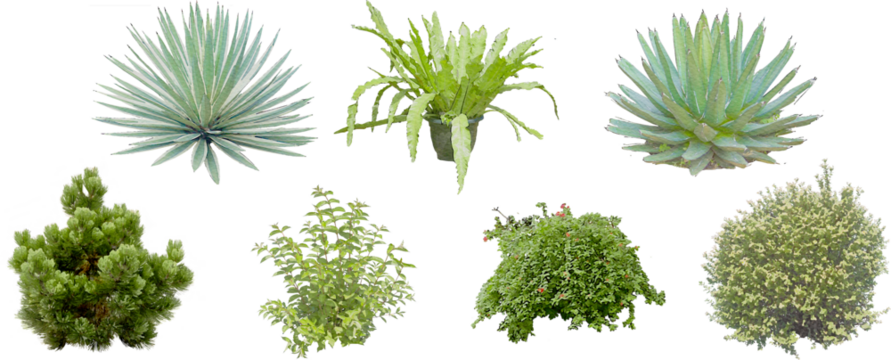 set of watercolor hand drawn paintings with asset illustrations of green plant tree isolated on white background. High resolution transparent PNG, random plants and bush