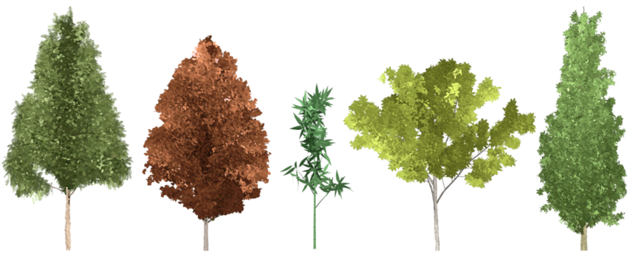 set of watercolor hand drawn paintings with asset illustrations of green tree isolated on white background. High resolution transparent PNG, random shape of tree