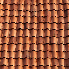 Seamless texture of ceramic roof of building.