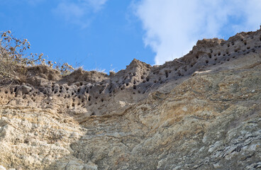 Fototapeta na wymiar Burrows of birds in the cliffs