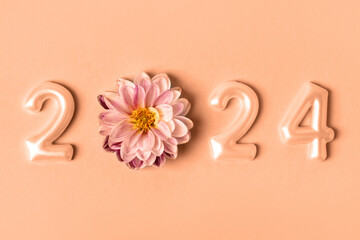 Numbers and dahlia flowers. 2024 new year idea concept. Trendy color of year 2024 - Peach Fuzz....
