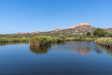 Obraz premium Summer river landscape behind the beach of Ostriconi, Balagne, Corsica, France