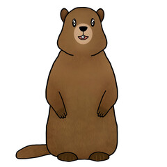 Happy Groundhog Day. cute groundhog.