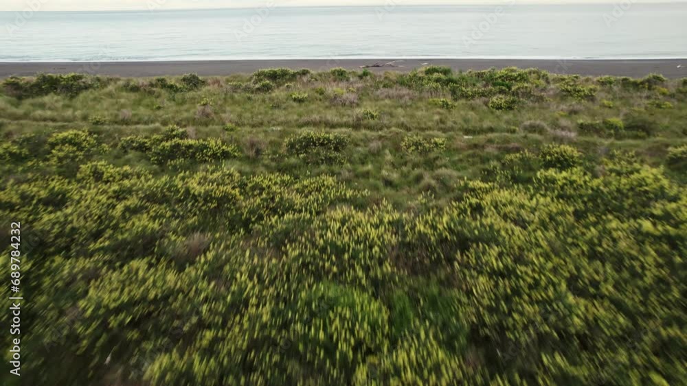 Wall mural Aerial view of the beach in new zealand