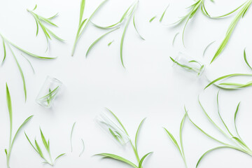 Fototapeta na wymiar Herbal cosmetic or medicine - test tubes with green leaves