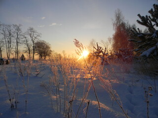 morning near the village of Raszowa3