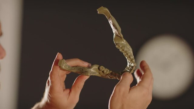 A man graphic designer holds in hands plastic khaki colored 3d printed model of human mandible with teeth. The concept of bioprinting organs for prosthetics and transplants, the future of