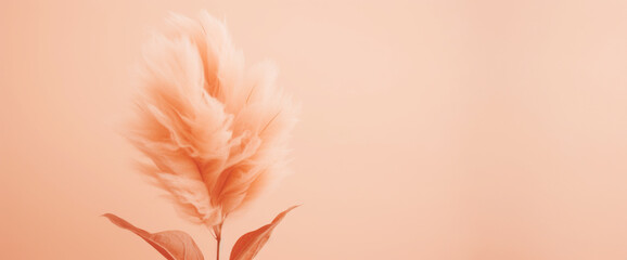 Subdued Peach Fuzz flowers, exuding serenity and natural elegance
