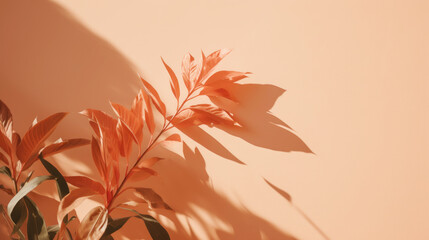 Delicate plant adorned in Peach Fuzz, a soft natural accent