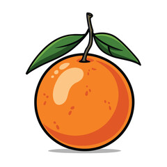 orange fruit vector illustration, illustration for orange fruit, vector illustration, fruit vector illustration, fruit illustration