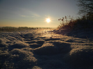 Lie down here, near Lubin