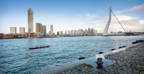 erasmus bridge seen from waterfront of kop van zuid in dutch city of rotterdam on sunny day with blue sky
