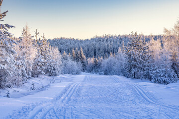 Ski center outside the town of Ludvika in Sweden, where you can go cross-country skiing