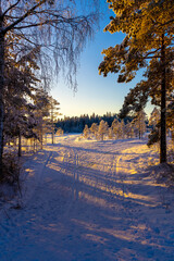 Ski center outside the town of Ludvika in Sweden, where you can go cross-country skiing