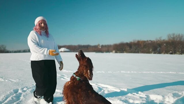 Happy beautiful young woman blowing snowflakes from her hands to her dog irish setter enjoying winter snow outdoors activity in winter day holiday. People and animals together having fun and smiling
