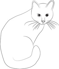 isolated domestic cat in black and white colors, outline hand painted drawing