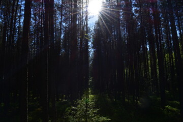 Obraz premium travel riga