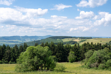 Obraz premium Landscape with trees in the high Rhoen