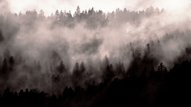Jour de pluie - 002