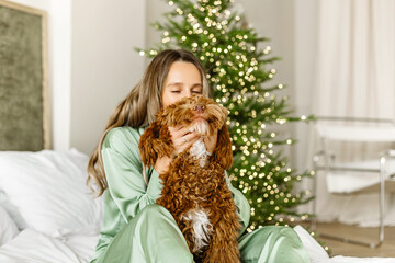 A Beautiful young woman kissing a brown labradoodle dog on christmas tree , bokeh light garland bacground. Cute Family puppy and girl play at home, new year decorated interior at Christmas holidays..