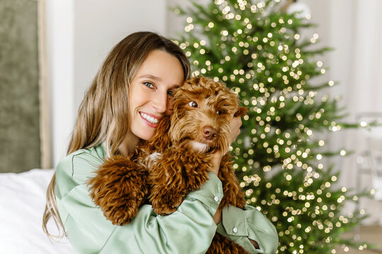 A Beautiful young woman with a golden brown labradoodle dog looking at the camera on christmas tree , bokeh light garland bacground. Cute Family puppy and girl play at home, new year decorated