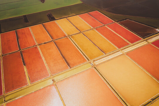 Aerial view of colourful Salinas, salt lakes pool at Farm colony la Algaida, Andalusia, Spain.