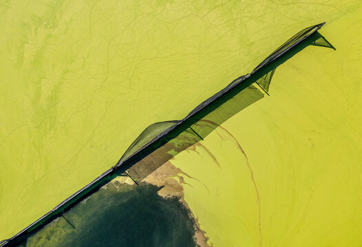 Aerial view of Parabel Nutrition Lemnature Aqua farms, an aquaculture facility, Fellsmere, Florida, United States.