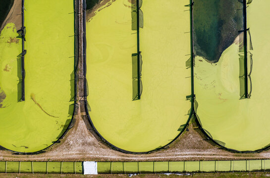 Aerial view of Parabel Nutrition Lemnature Aqua farms, an aquaculture facility, Fellsmere, Florida, United States.