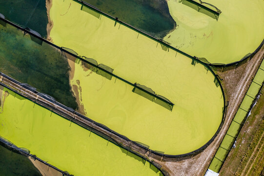 Aerial view of Parabel Nutrition Lemnature Aqua farms, an aquaculture facility, Fellsmere, Florida, United States.