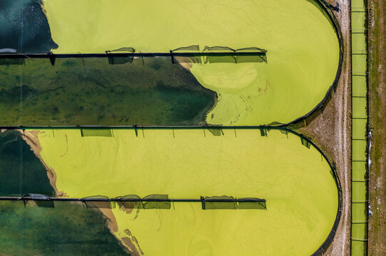 Aerial view of Parabel Nutrition Lemnature Aqua farms, an aquaculture facility, Fellsmere, Florida, United States.
